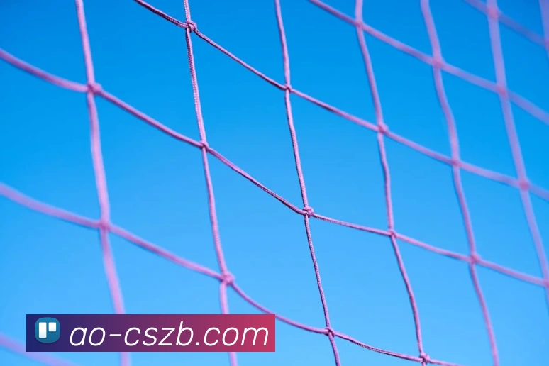 彩神争霸全站App 彩神争霸全站App